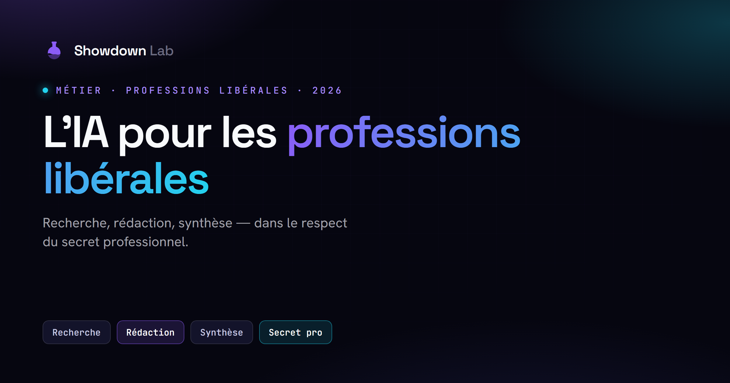 L'IA pour les professions libérales : avocats, experts-comptables, médecins, architectes.